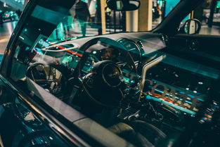 米兰体育官方网页版-世界高速滑轮挑战赛中国少年展现实力，世界滑轮比赛视频